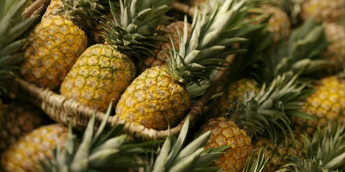 2048x1195 Pineapple HD Wallpapers