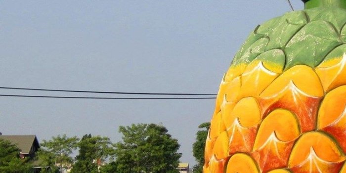 768x1280 Pineapple Desktop Wallpaper (30+), Find HD Wallpapers For Free