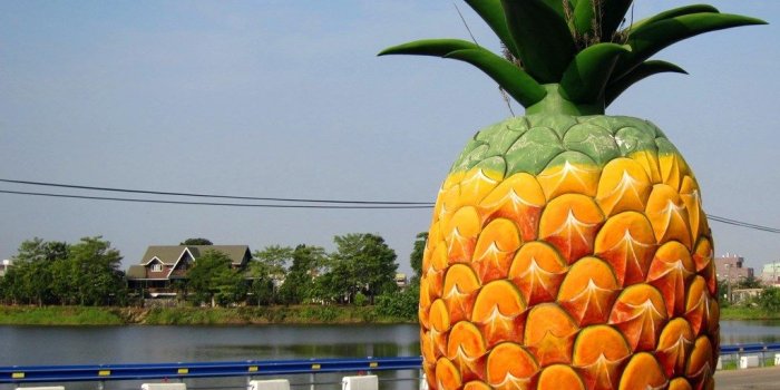 1024x782 Pineapple Desktop Wallpaper, Pineapple Images Free, New Wallpapers