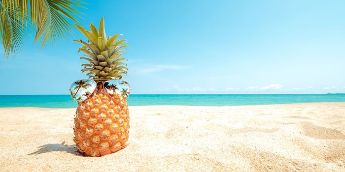 1280x853 Wallpaper Beach Sand Pineapples Food eyeglasses