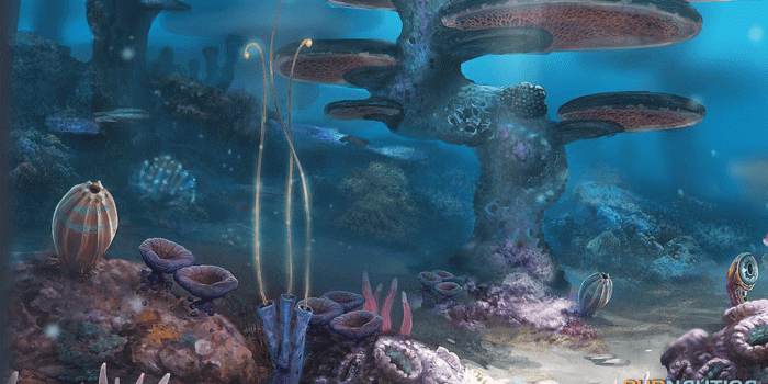 1920x1080 Subnautica Wallpaper HD