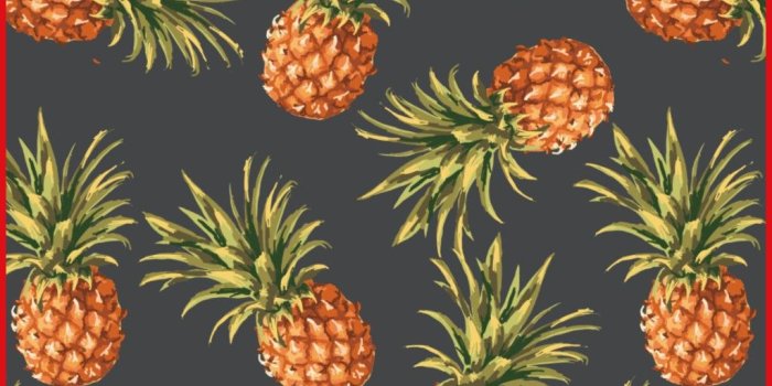 1024x1022 Pineapple Wallpapers (30 + Background Pictures)