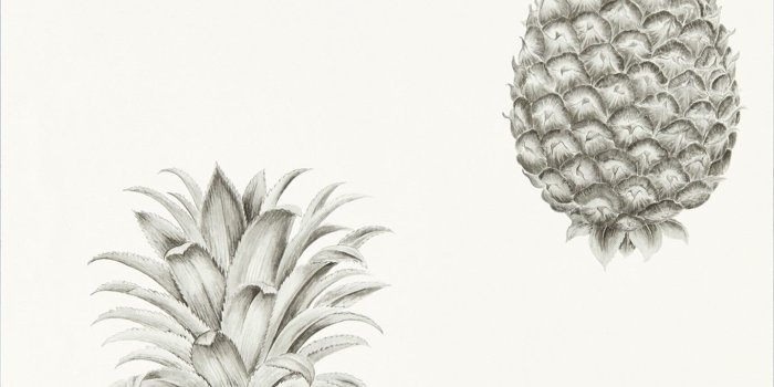 1366x1366 pineapple desktop wallpaper Google Search Projects to Try