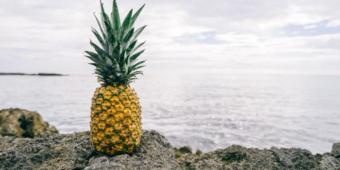 1920x1200 Pineapple Wallpapers - Top Free Pineapple Backgrounds - WallpaperAccess