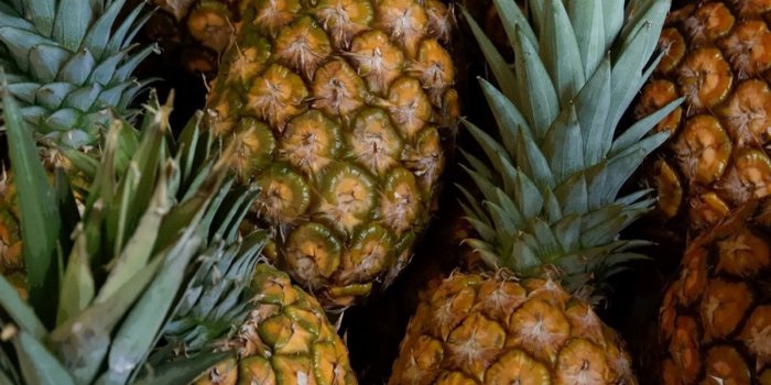 1920x1200 Download hd 1920x1200 Pineapple desktop wallpaper ID:291139 for free