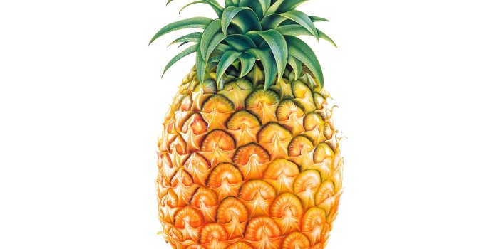 1600x1200 1600x1200 Tasty pineapple desktop PC and Mac wallpaper