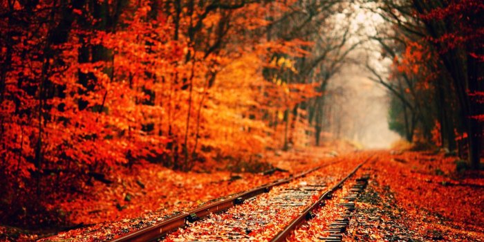 1680x1050 36 Cool Canada Photos and Pictures, RT59 HD Widescreen Wallpapers