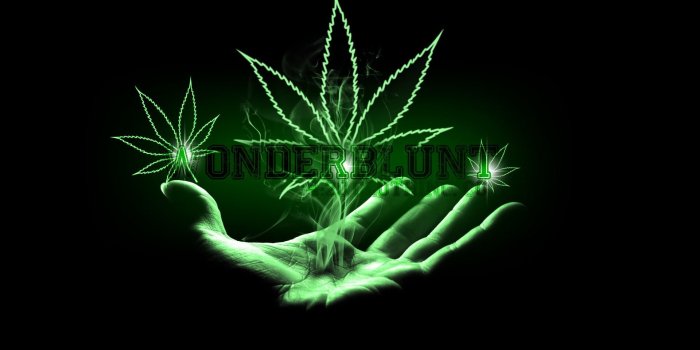1920x1080 Weed Wallpaper Hd - 3d Weed Free Wallpaper & Backgrounds
