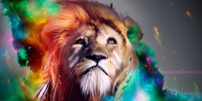 1920x1200 70+ Cool Lion Wallpapers on WallpaperPlay