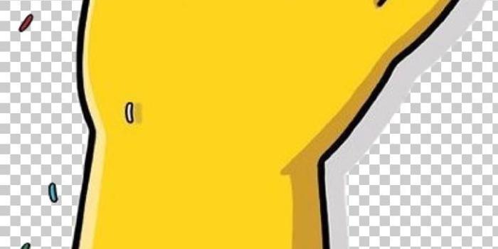 728x1470 Homer Simpson Donuts Ned Flanders Bart Simpson Lisa Simpson PNG