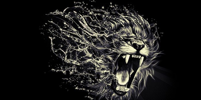 1920x1080 Cool Lion Wallpapers - Top Free Cool Lion Backgrounds - WallpaperAccess