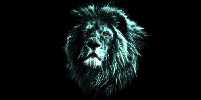 1920x1080 70+ Cool Lion Wallpapers on WallpaperPlay