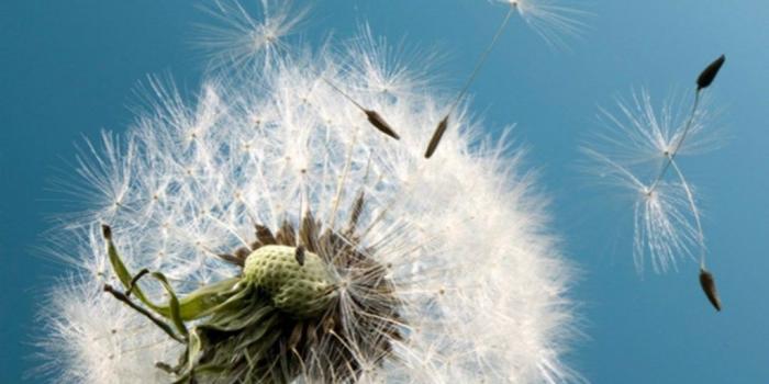 1024x1820 Wallpaper Iphone Aesthetic Tumblr