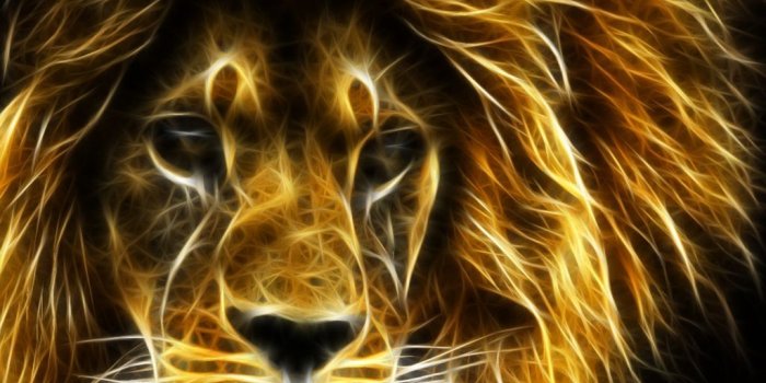 1024x768 3D Cool Lion Wallpaper | 3D Wallpapers - All Types | Lion wallpaper