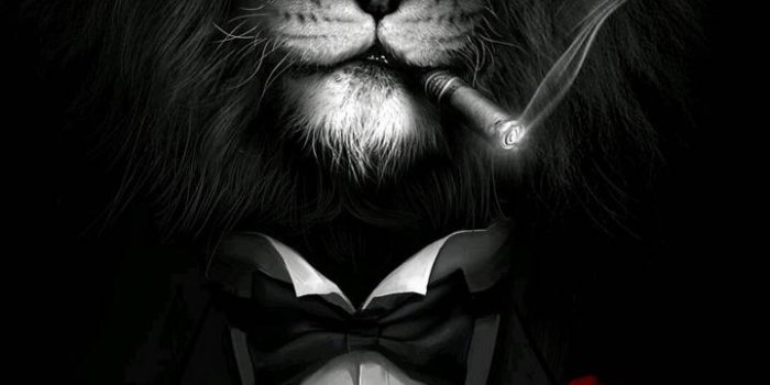 720x1280 COOL LION Wallpaper by hende09 - 1e - Free on ZEDGE™