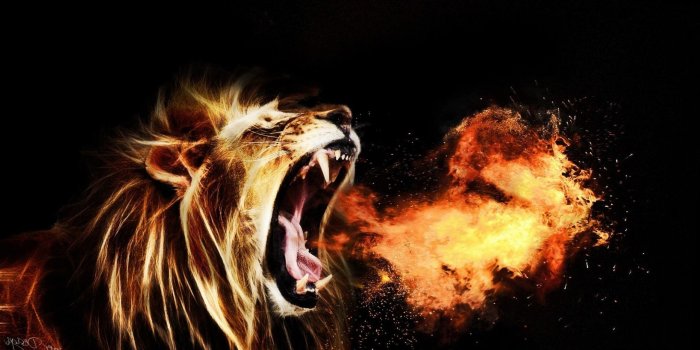 1862x1047 Cool Lion Wallpapers - (64+) Group Wallpapers