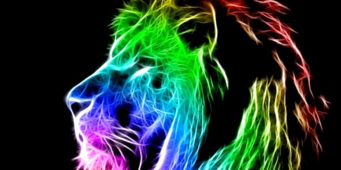 1082x874 Cool Lion Colorful Wallpaper Hd Desktop | Wallpapers Inspire