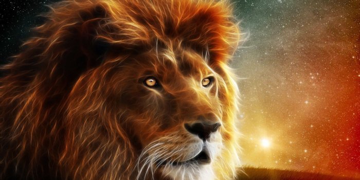 1920x1200 70+ Cool Lion Wallpapers on WallpaperPlay