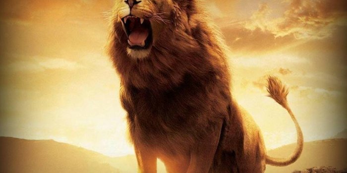 1024x768 Cool Lion Hd Wallpapers For Desktop - Hd Wallpaper 1080p Lion