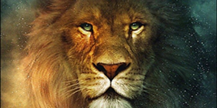 1280x1024 Top Cool Lion Wallpapers Hd Images For Pinterest Desktop Background