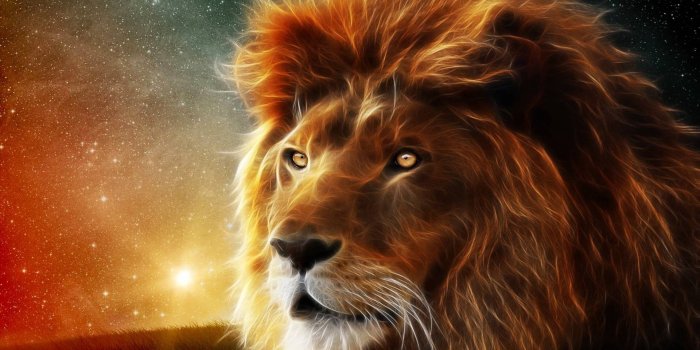 1920x1200 Cool Lion iphone Wallpaper | HD Wallpapers Background Pics Site