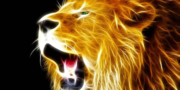 1440x1280 Cool Lion Wallpaper by djbattery2012 - 8e - Free on ZEDGE™