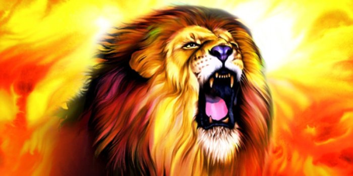 1920x1200 Cool Lion Wallpapers - Top Free Cool Lion Backgrounds - WallpaperAccess