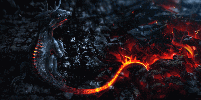 2560x1440 Baby dragon Wallpaper # | Wallpapers | Retina wallpaper, Dragon