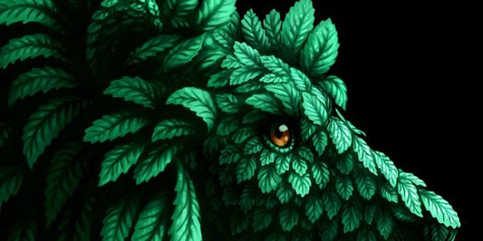 750x1334 Lion Iphone Wallpaper (28+ images) on Genchi.info