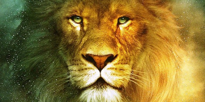 2560x1920 Amazing Lion Wallpapers Wallpaper's Collection «Lion Wallpapers