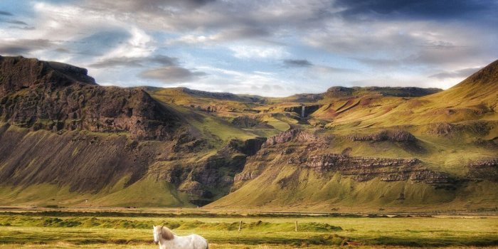 1280x960 Iceland landscape and white horse Wallpaper | 1280x960 | ID:24505