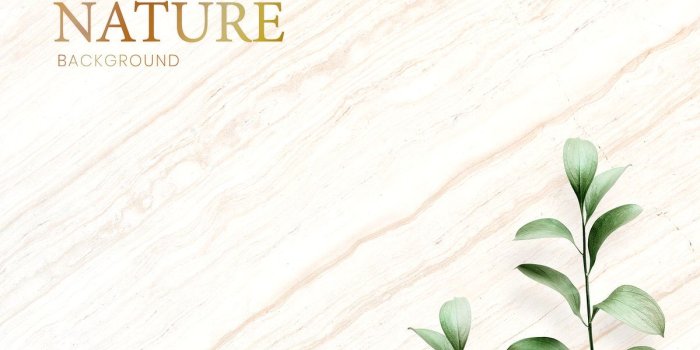 1200x800 Download premium psd of Tropical leaves on a marble background 599821