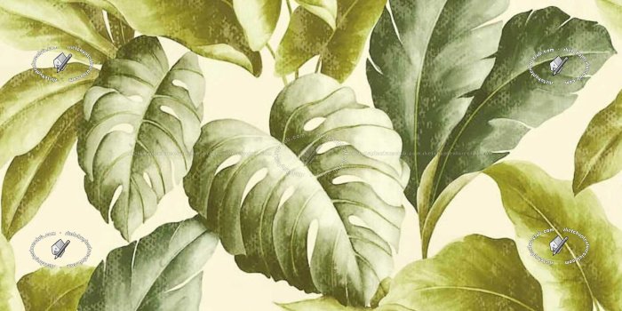 3000x3000 Tropical leaves wallpaper texture seamless 20935