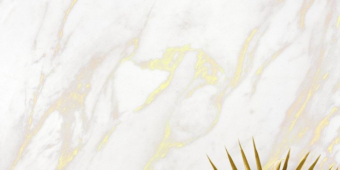 1400x2097 Download premium psd of Golden leaves on a marble background 599869