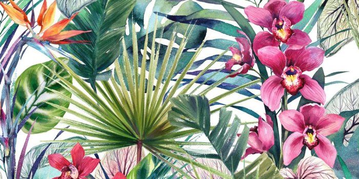 1000x1000 Graham & Brown Strata Aloha Tropical Multi Removable Wallpaper