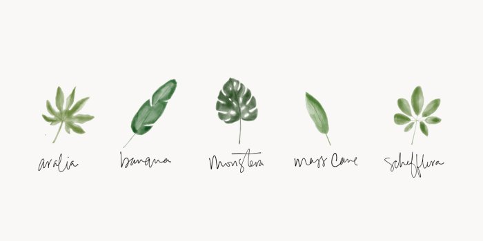 1440x990 Tropical Desktop Background | lark & linen