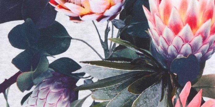 736x1127 Main Image - Molo Fiona Dog Print Romper (Baby) | color lovers