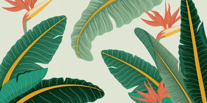 1650x1070 Banana Leaf Tropical Wallpaper | Exotic Design | MuralsWallpaper