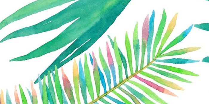 736x1309 9193 tropical palm tree wallpaper