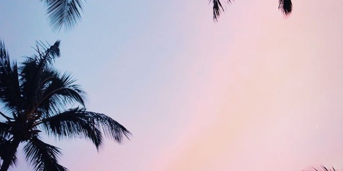 736x1308 21 Pretty Wallpapers For Your New iPhone Xs Max | Preppy Wallpapers