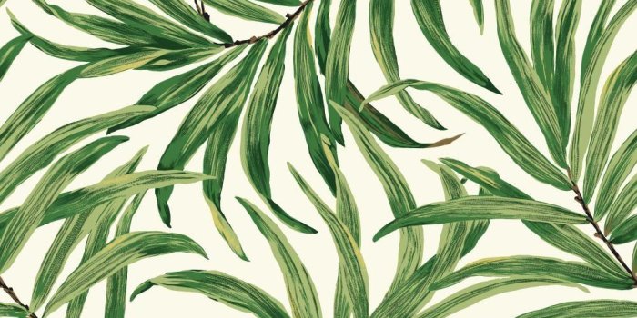 1000x1000 Tropics Bali Leaves Wallpaper