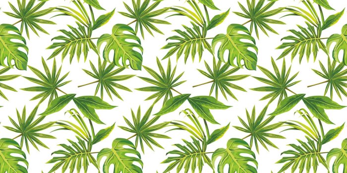 1650x1070 Tropical Leaves Print Wallpaper - Murals Wallpaper