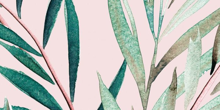 900x900 Light Pink Tropical removable wall mural