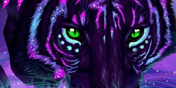 800x1280 Tiger Galaxy Wallpapers - Top Free Tiger Galaxy Backgrounds