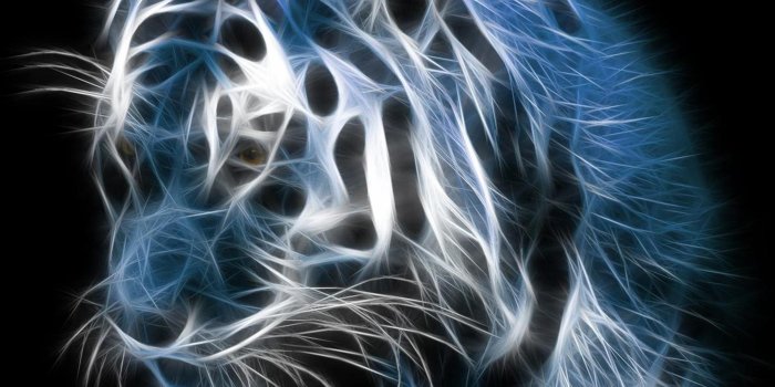 2160x1920 Samsung Galaxy S4 Wallpapers HD – Beautiful black and white tiger