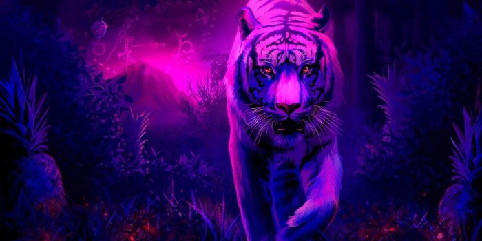 1920x1080 1449 Tiger HD Wallpapers | Background Images