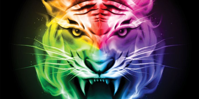 1500x1500 55+ Colorful Tiger Wallpapers - Download at WallpaperBro