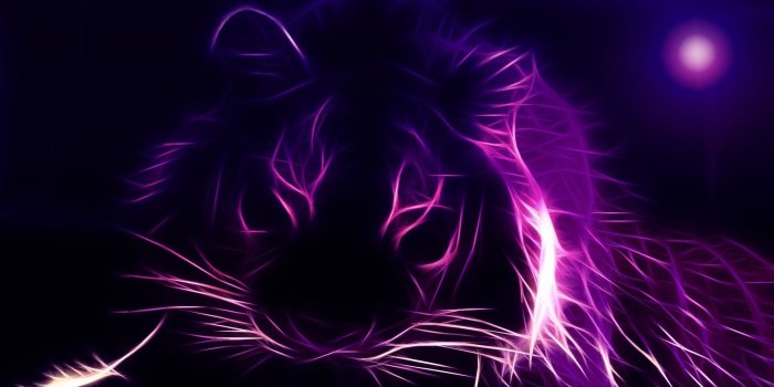 1920x1080 Neon Tiger Wallpaper (65+ images)