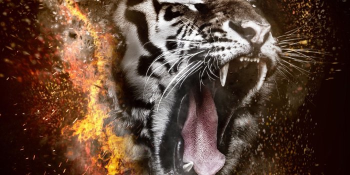 2160x3840 Download wallpaper 2160x3840 tiger, grin, photoshop, fire samsung