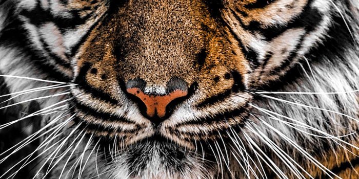 1440x2960 Samsung Galaxy Note 8 Wallpapers | HD Windows Wallpapers